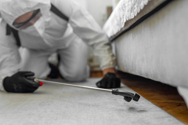 Professional Bed Bug Control technician working in Johns Creek, GA