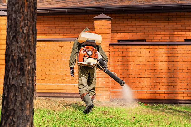 Trusted Ant Control service in Johns Creek, GA - Nex Pest Control